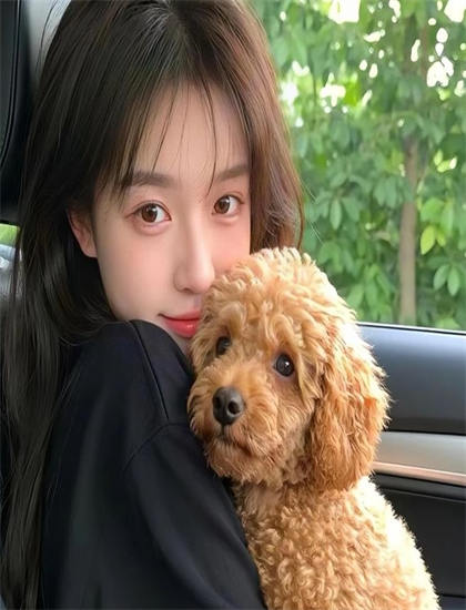 新神榜杨戬免费观看_山海情在线观看免费完整版_暗潮缉凶悬疑电视剧在线观看